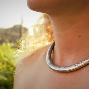 Girocollo in argento punteggiato