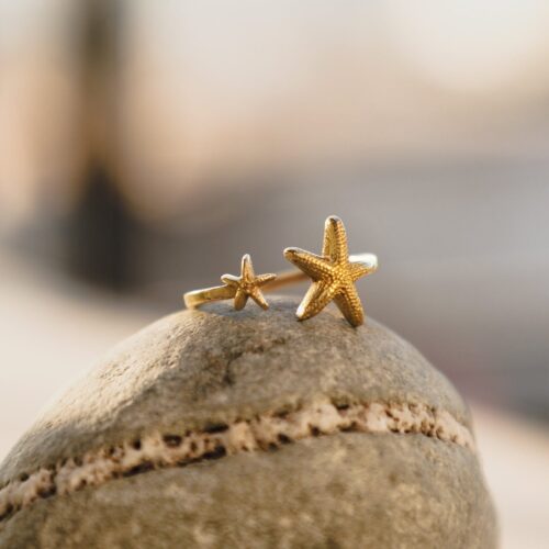 Anillo oceánico Twin StarFish