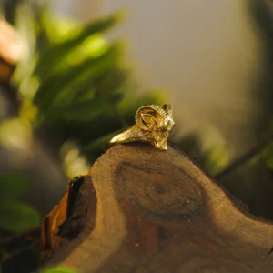 Anello Testa di Ariete d'Oro