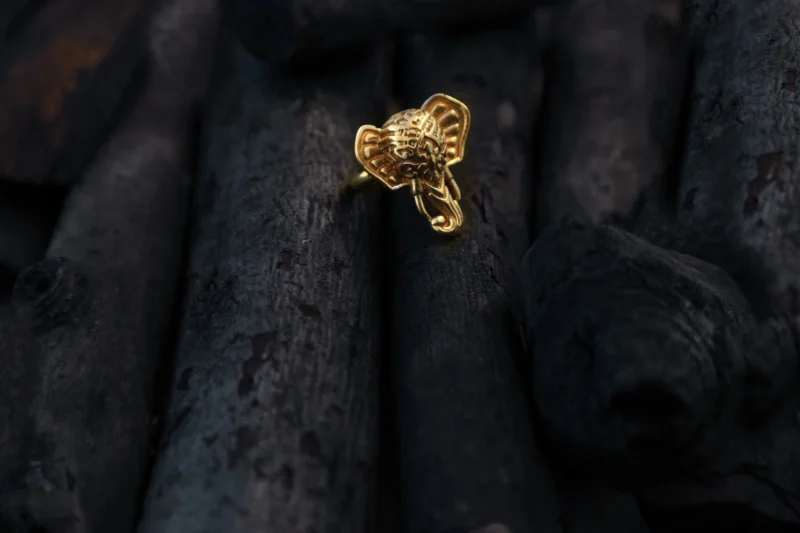 Anello Elefante