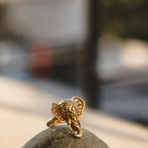 Anello Elefante