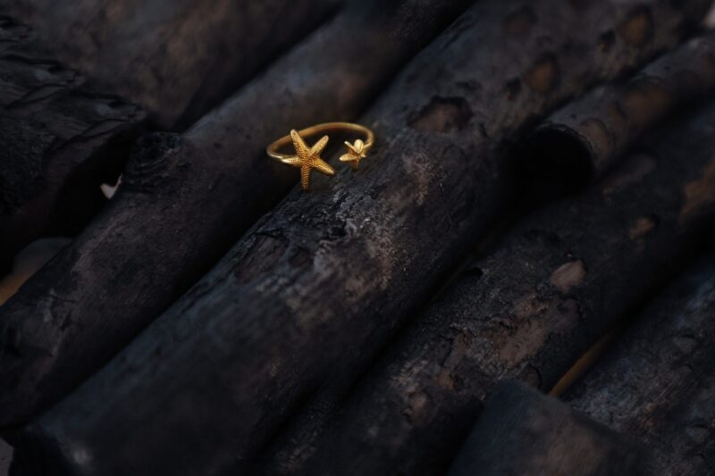 Twin StarFish Ocean Ring