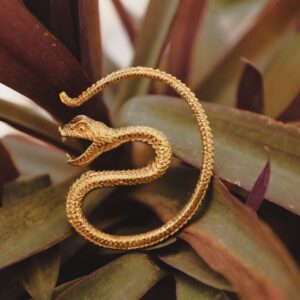 Peso dell'orecchio di serpente