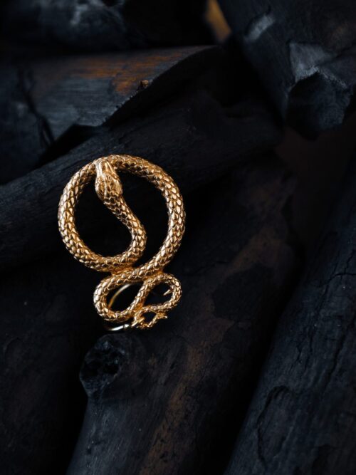 Snake Charm Earrings