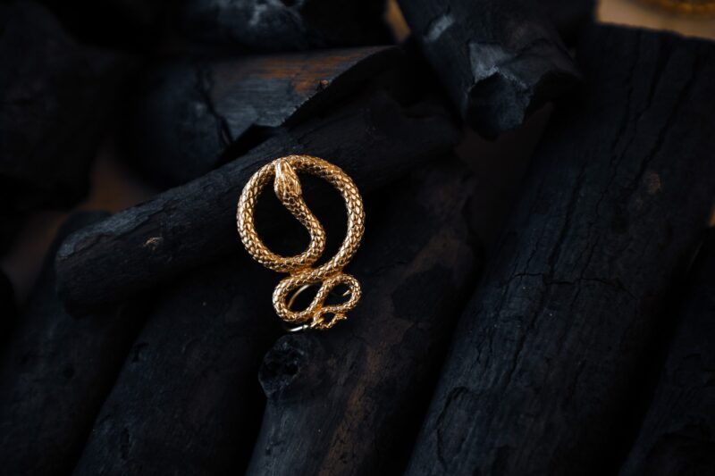 Orecchini con ciondolo a forma di serpente