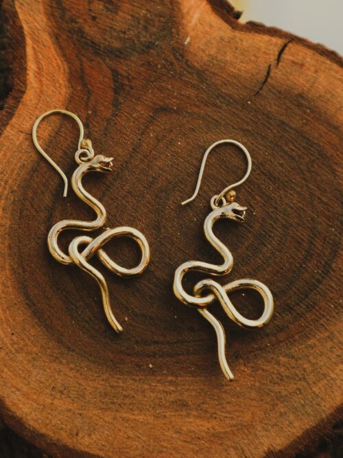 Boucles d’oreilles Infinity Serpent