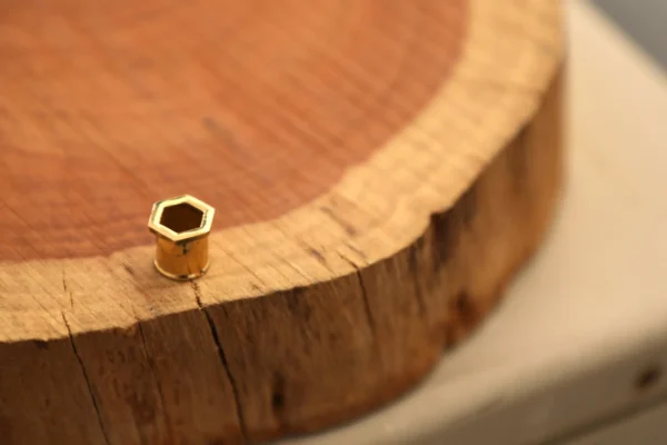Ear Gauge Tunnel