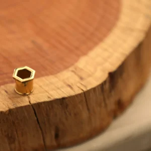 Tunnel del calibro auricolare