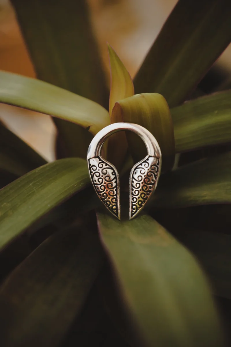 Peso dell'orecchio zingaro