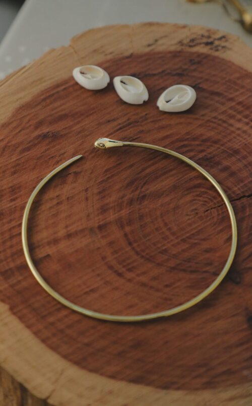 1 Collar de serpiente