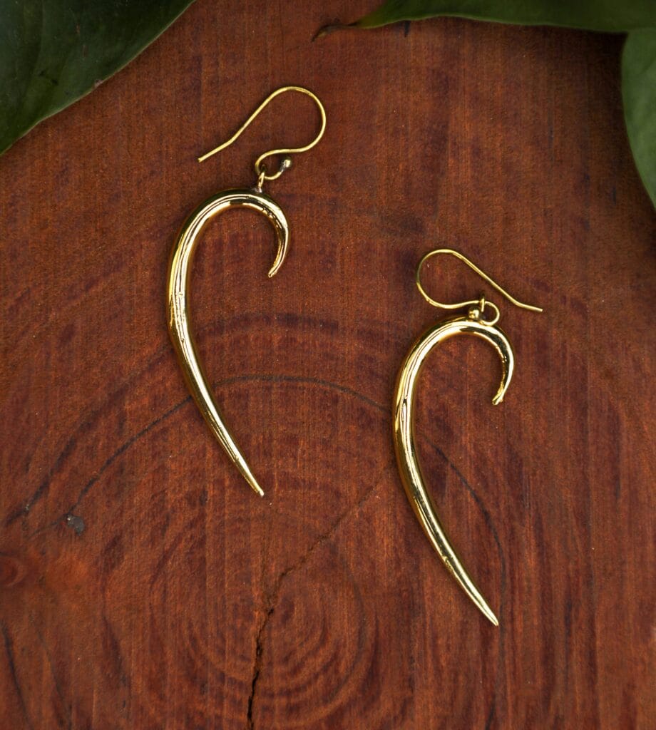 Dangle Hook Earrings