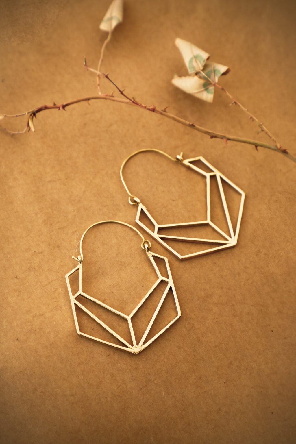 Hexagon Hoop Earrings