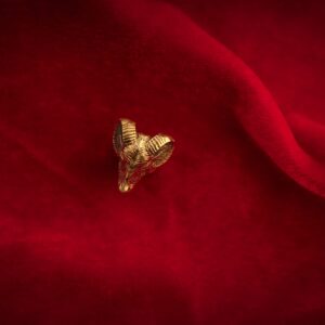 Tunnel dell'orecchio di capra