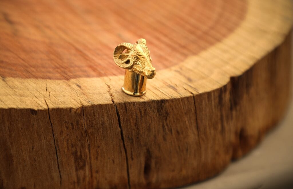 Tunnel dell'orecchio di capra