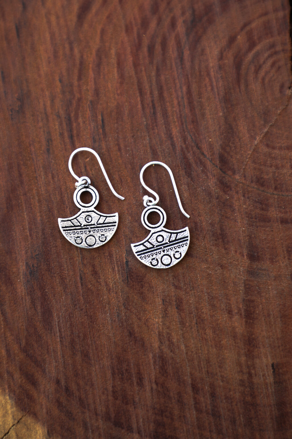 2K3A5587 Escudos a la luz de la luna