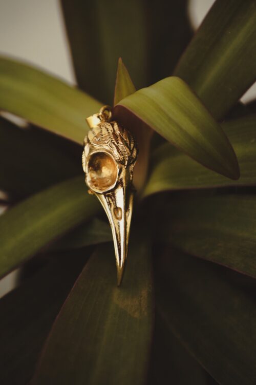 Bird Skull Pendant