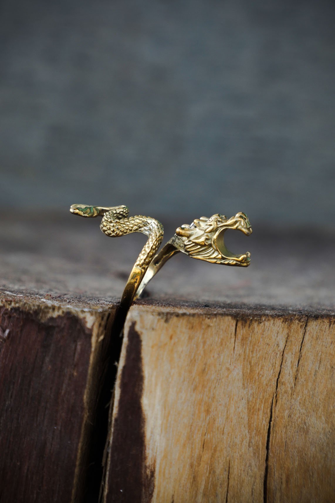 Dragon Face Ring