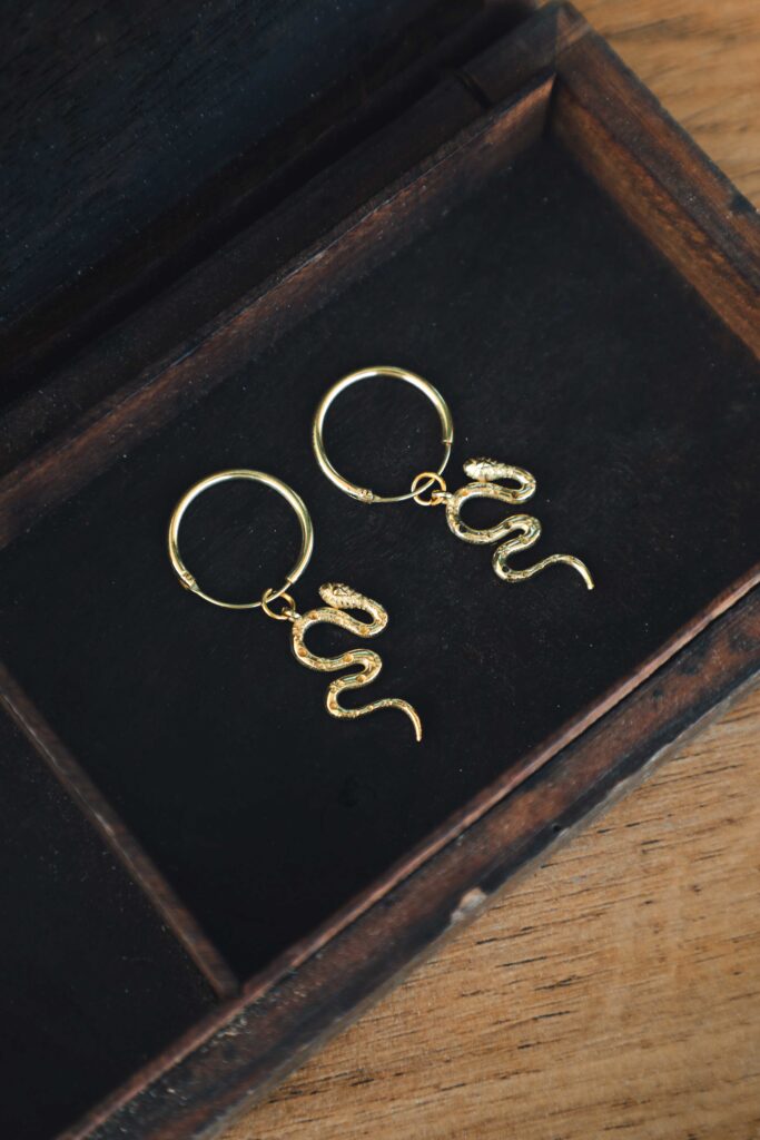 Serpent Whisper Hoops