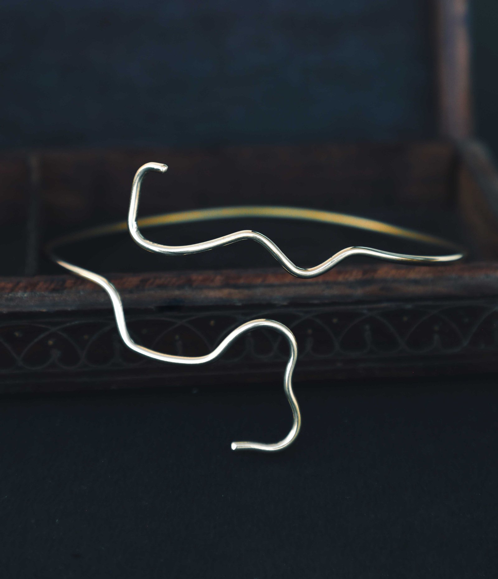 Brassard Echo Wire