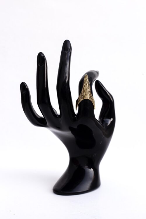 Anello di Dichiarazione Artiglio d'Oro