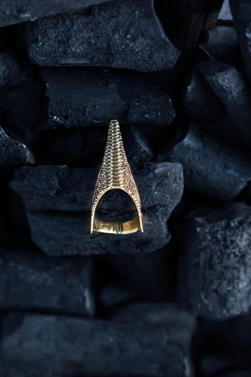 Anello di Dichiarazione Artiglio d'Oro