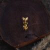 Anello dei Canguri