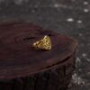 Anneau de grille Aurex