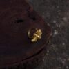 Bienenring