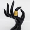 Anillo de Banda Astra
